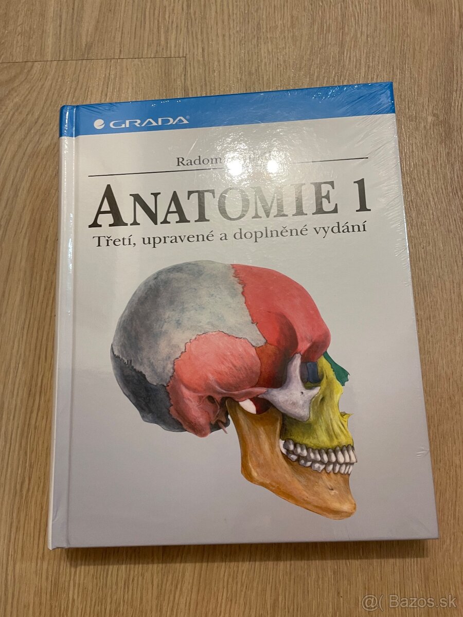 Anatomie 1 Čihák