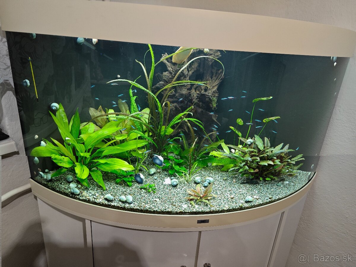 Rohove akvarium Juwel Trigon 350l