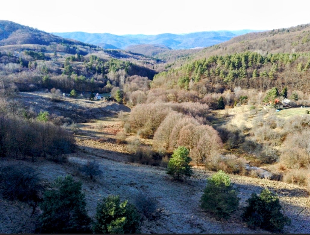 Predaj pozemku 2,3 ha v katastri obce Vyhne.