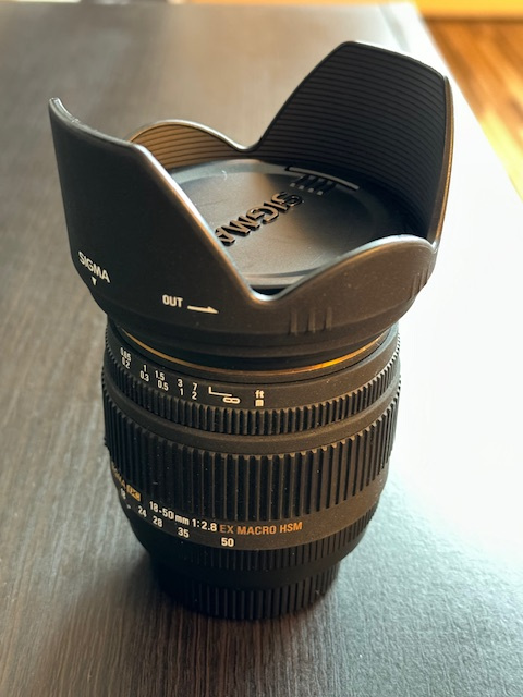 SIGMA 18-50mm f/2.8