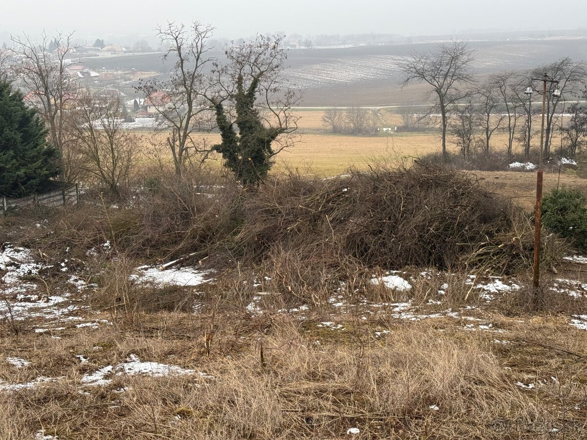 Darujem drevo vhodné na štiepkovanie