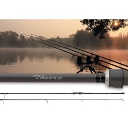 Daiwa Theory