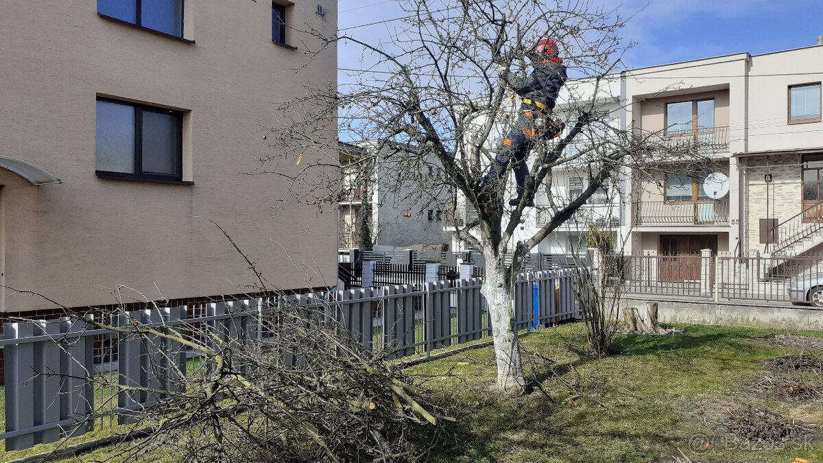 starostlivosť o záhradu, živé ploty, orezávanie stromov