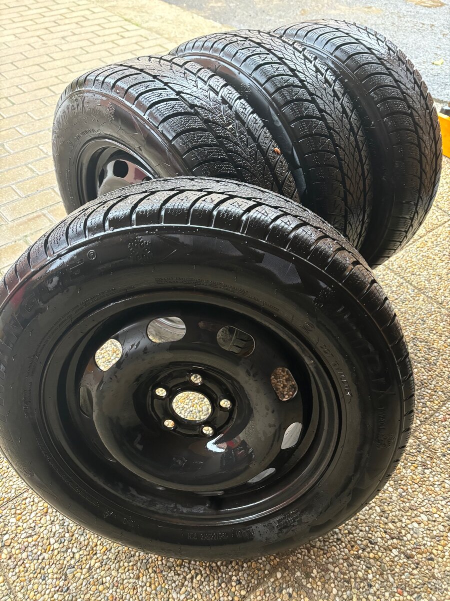 Zimna sada 195/65 R15