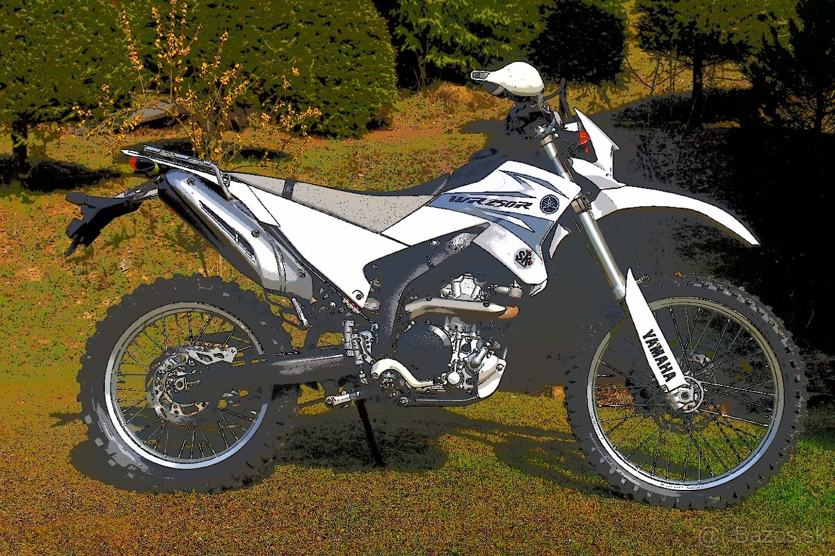 Yamaha wr 250r