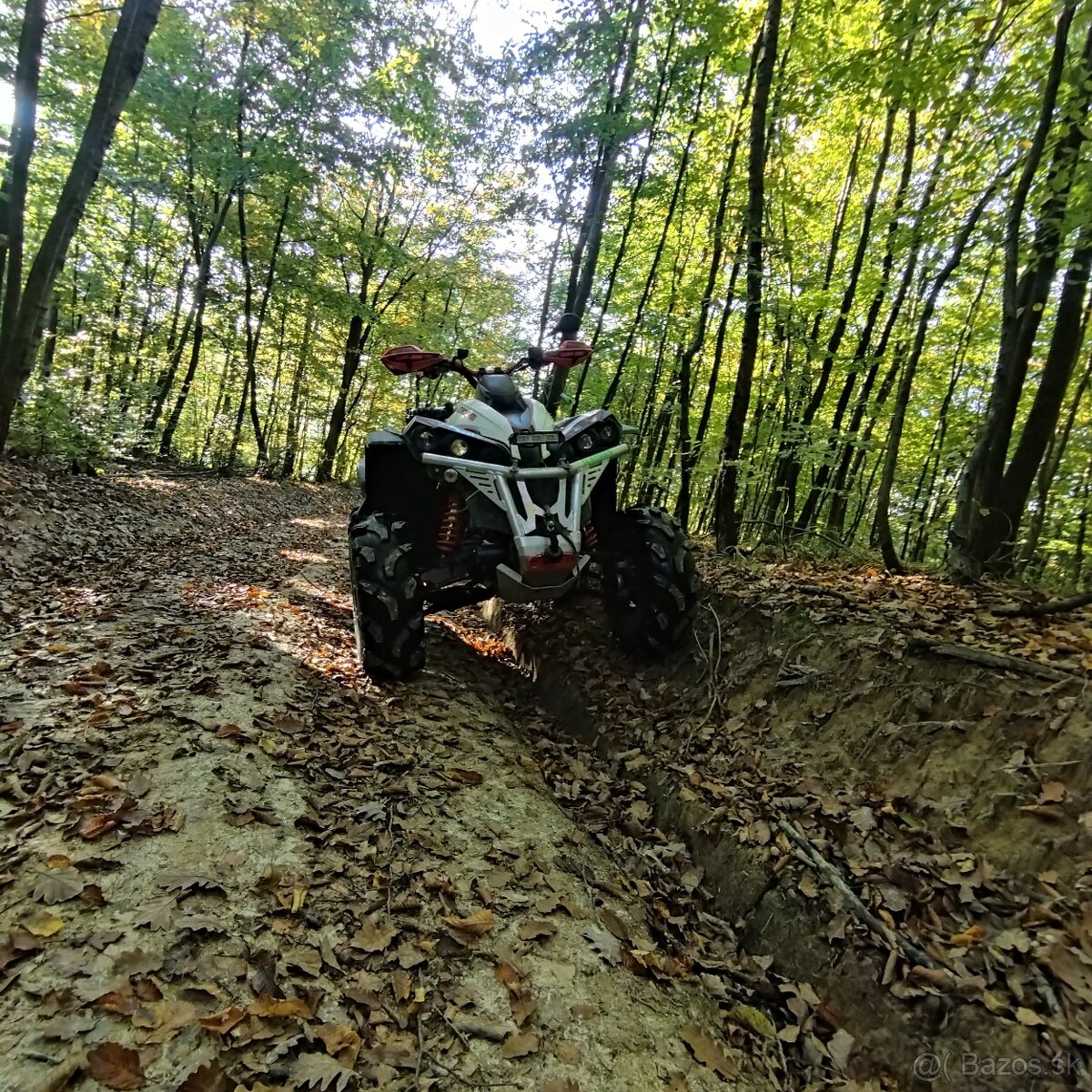 Can am renegade 650xxc