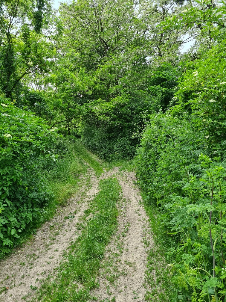 Pozemok na výstavbu rodinných domov, Svinica, Košice - Okoli