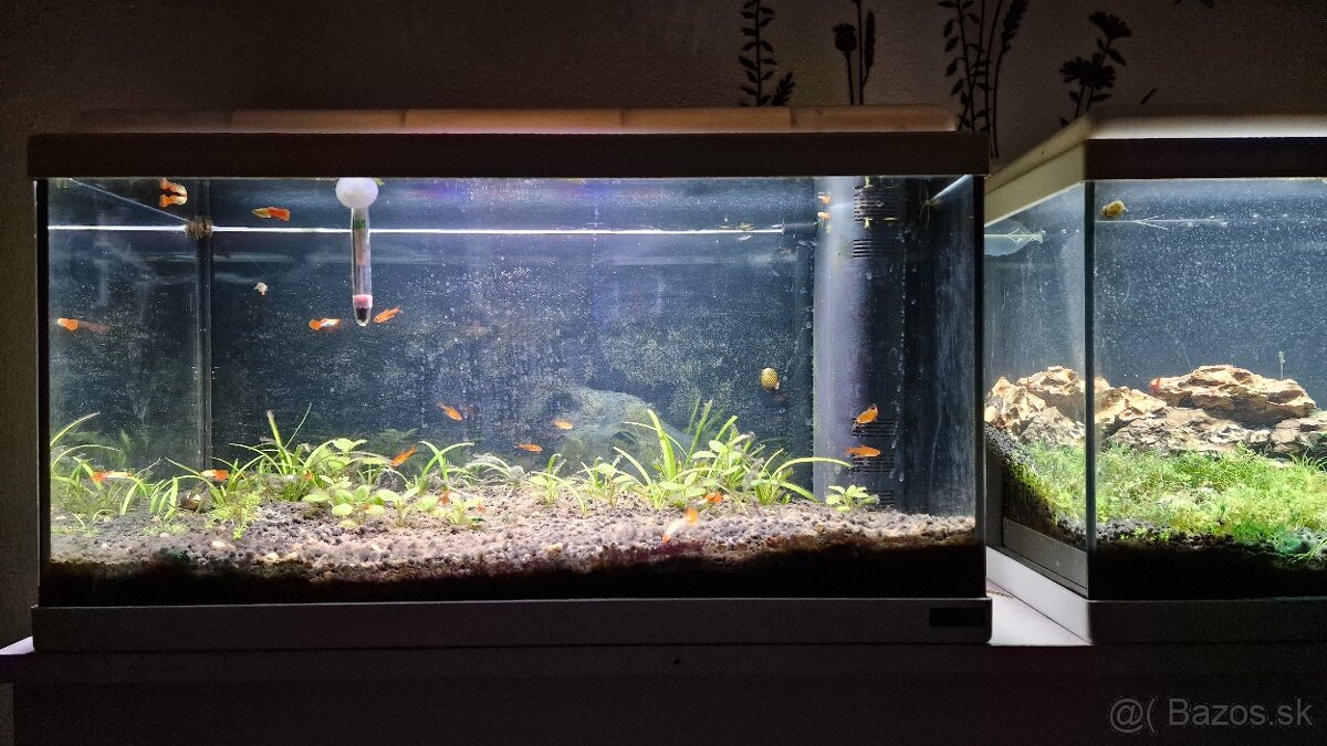 Akvarium Aquatlantis