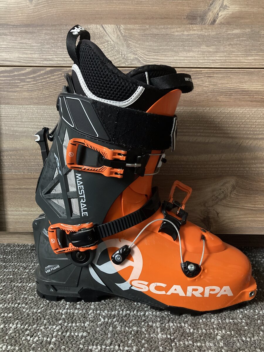 Scarpa Maestrale 2021