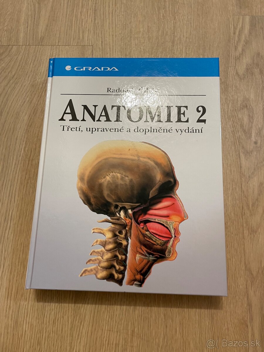 Anatomie 2 - Čihák