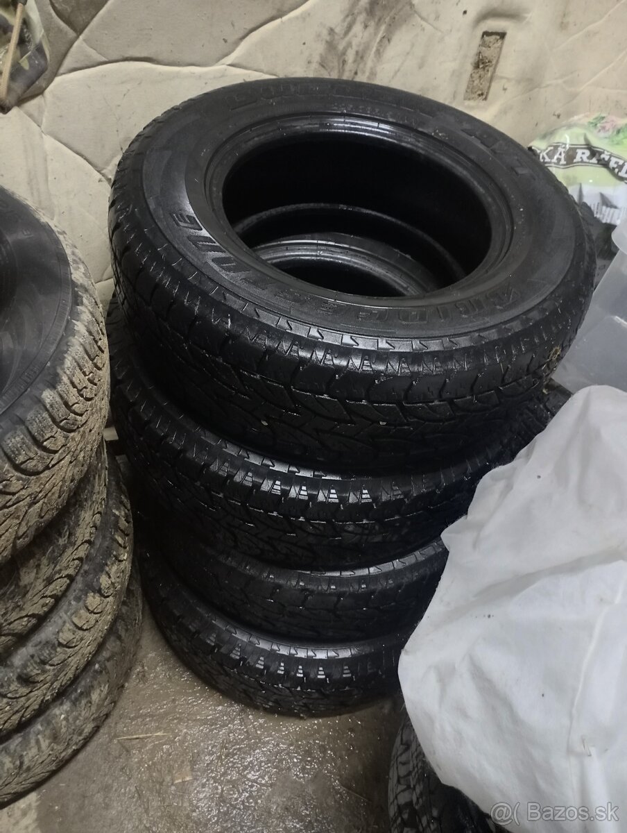 Pneu Bridgestone M/S  225/70 R15