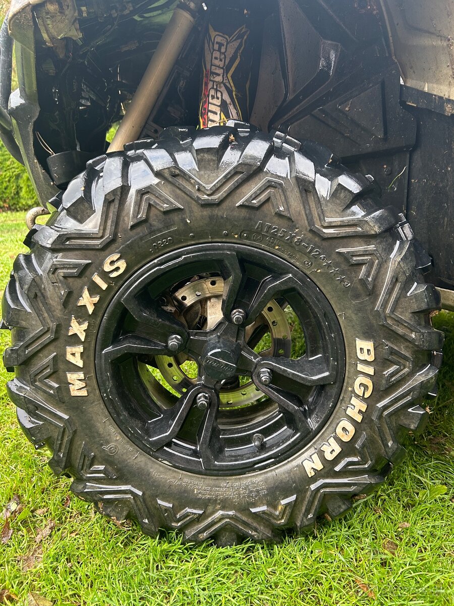 Maxxis bighorn