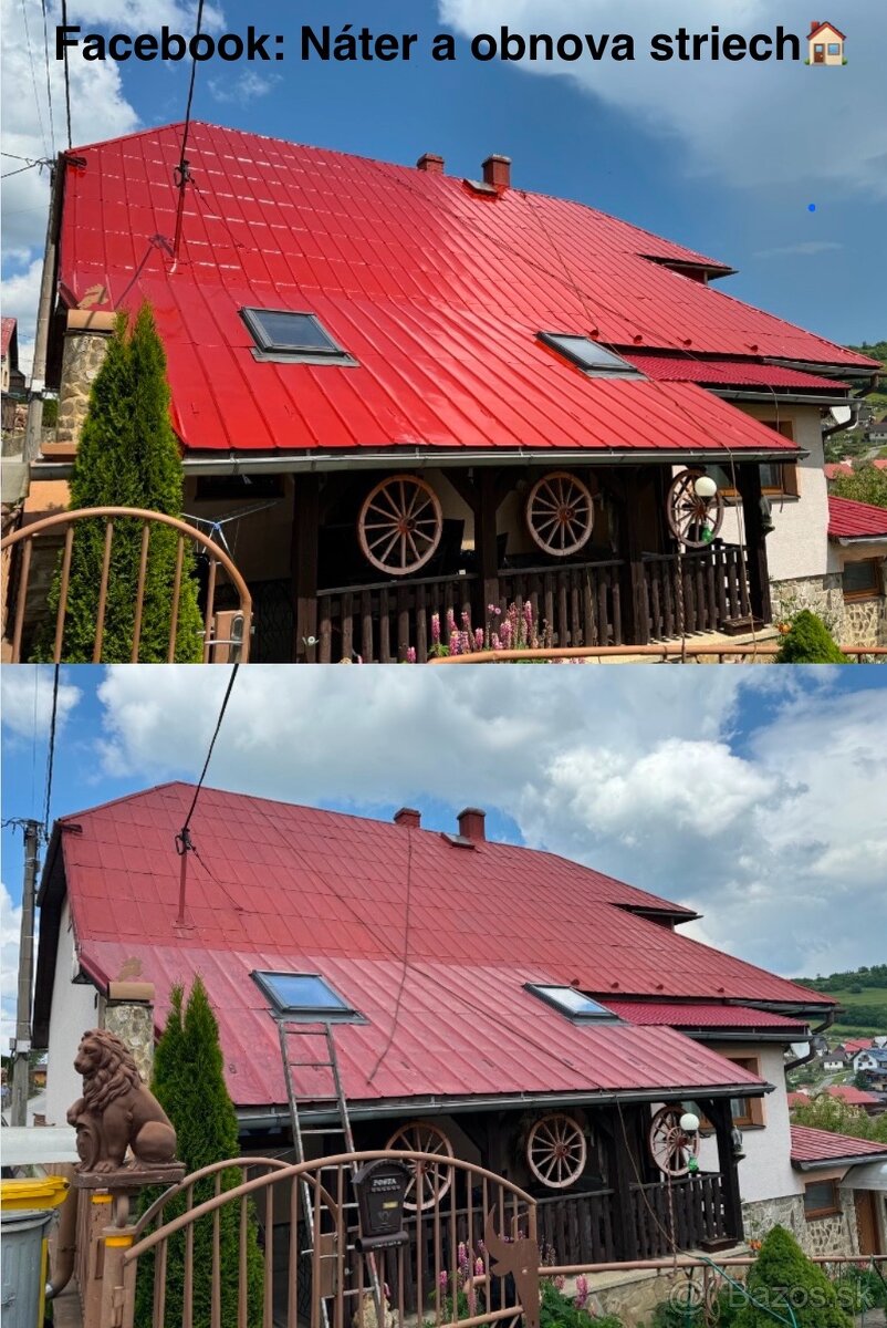 🏠🎨🔥Nátery striech. Nateranie striech . Maľovanie:-: