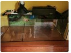 Terarium