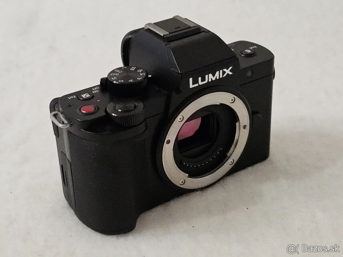 Panasonic Lumix G100