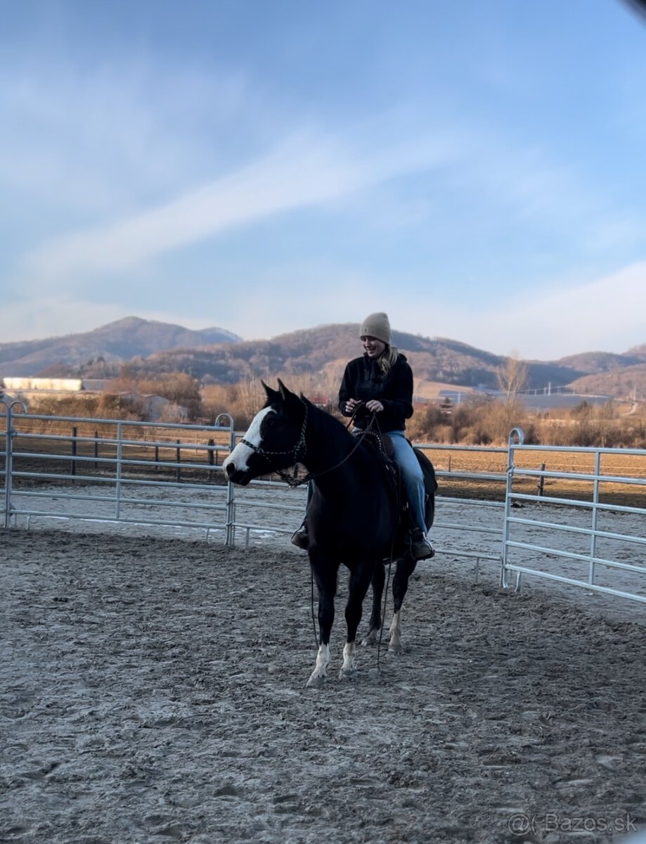 Quarter horse/appaloossa kobyla