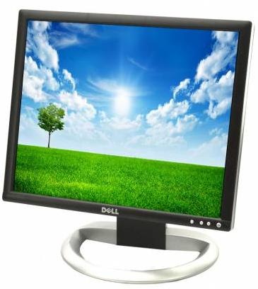 Dell™ 1907FPV Flat Panel Monitor