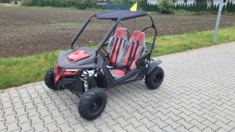 Dětská Buggy Cheetah4Kids 2, 208ccm, věk jezdce 10+ červená.