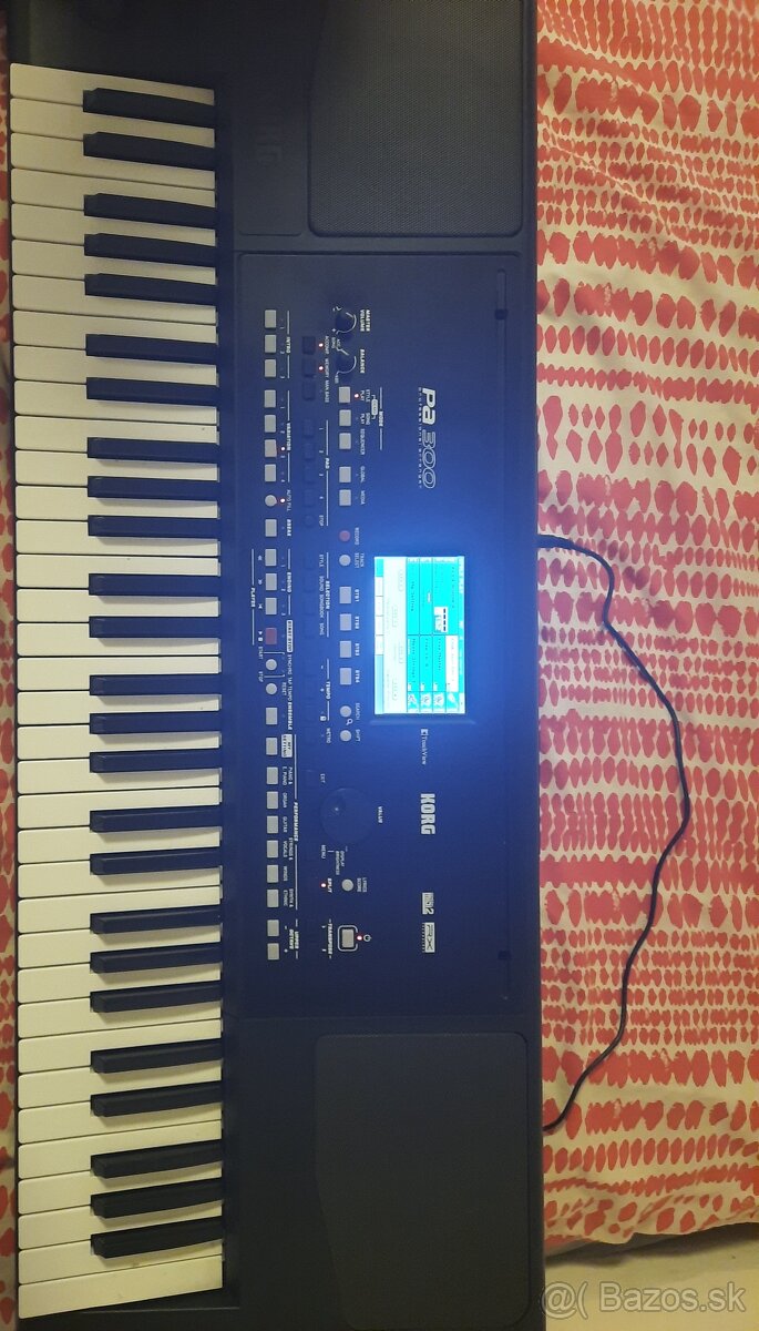 Korg pa 300