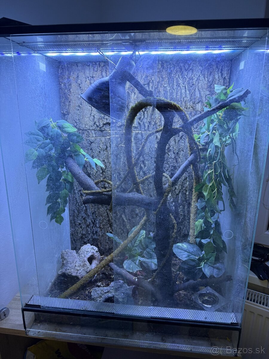 Terarium 80x60x40 vybavene