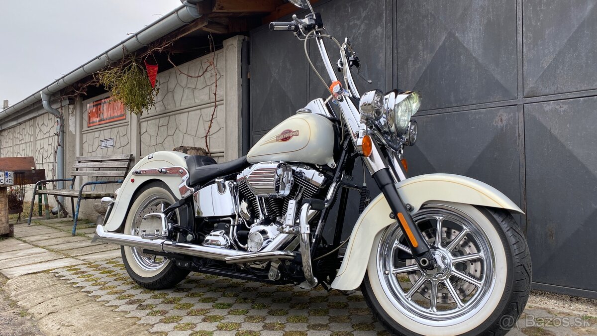 Harley Davidson Softail 110”