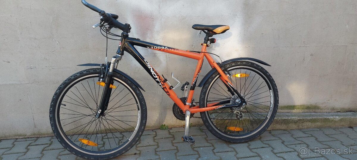 Horský bicykel Dinotti X3009A