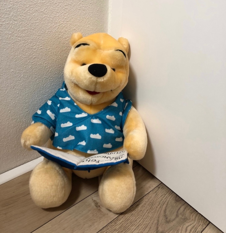 Plyšový macko Pú (Winnie the Pooh)