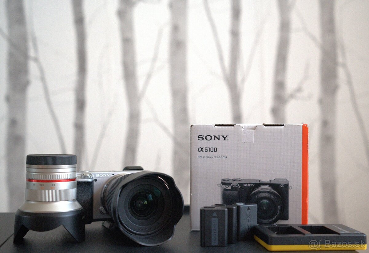 Sony a6100