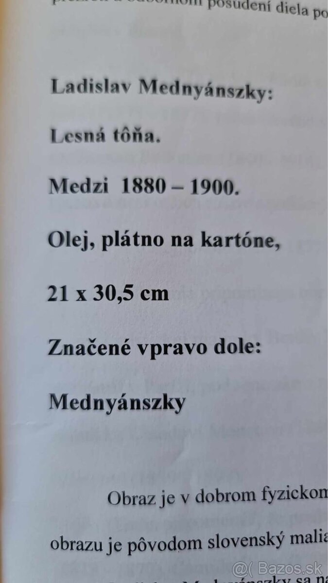 OBRAZ OD LASZLO MEDNYANSZKY