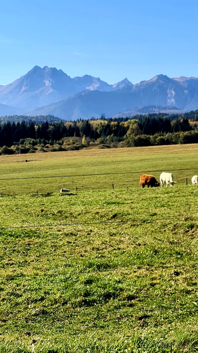 Stavebný pozemok Spišská Magura