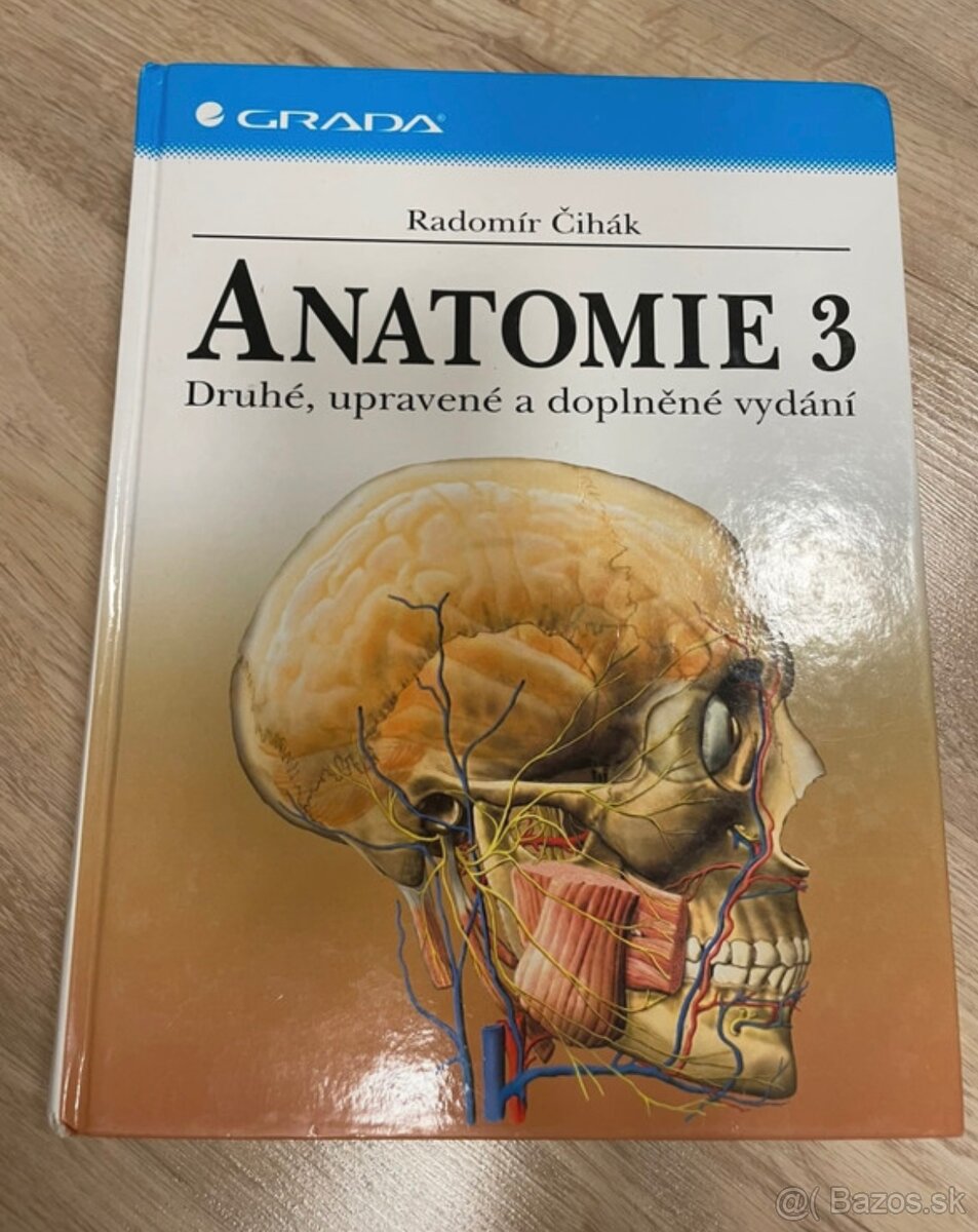 Anatómia Mráz, čihák, histologia