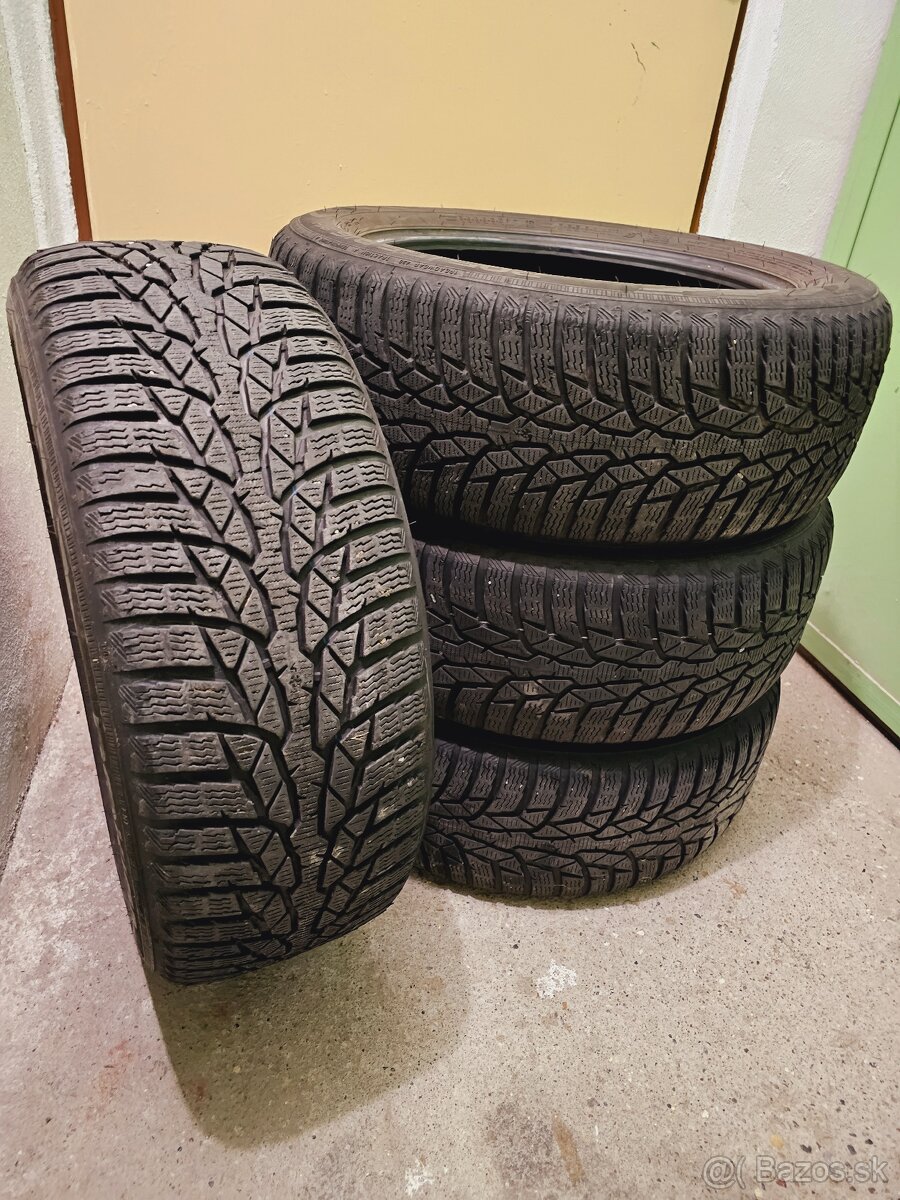 Nokian WR D4 205/55 R16 91H