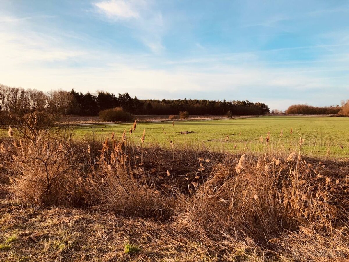 Investičný pozemok medzi Veľkými a Malými Levármi, 45 172 m²