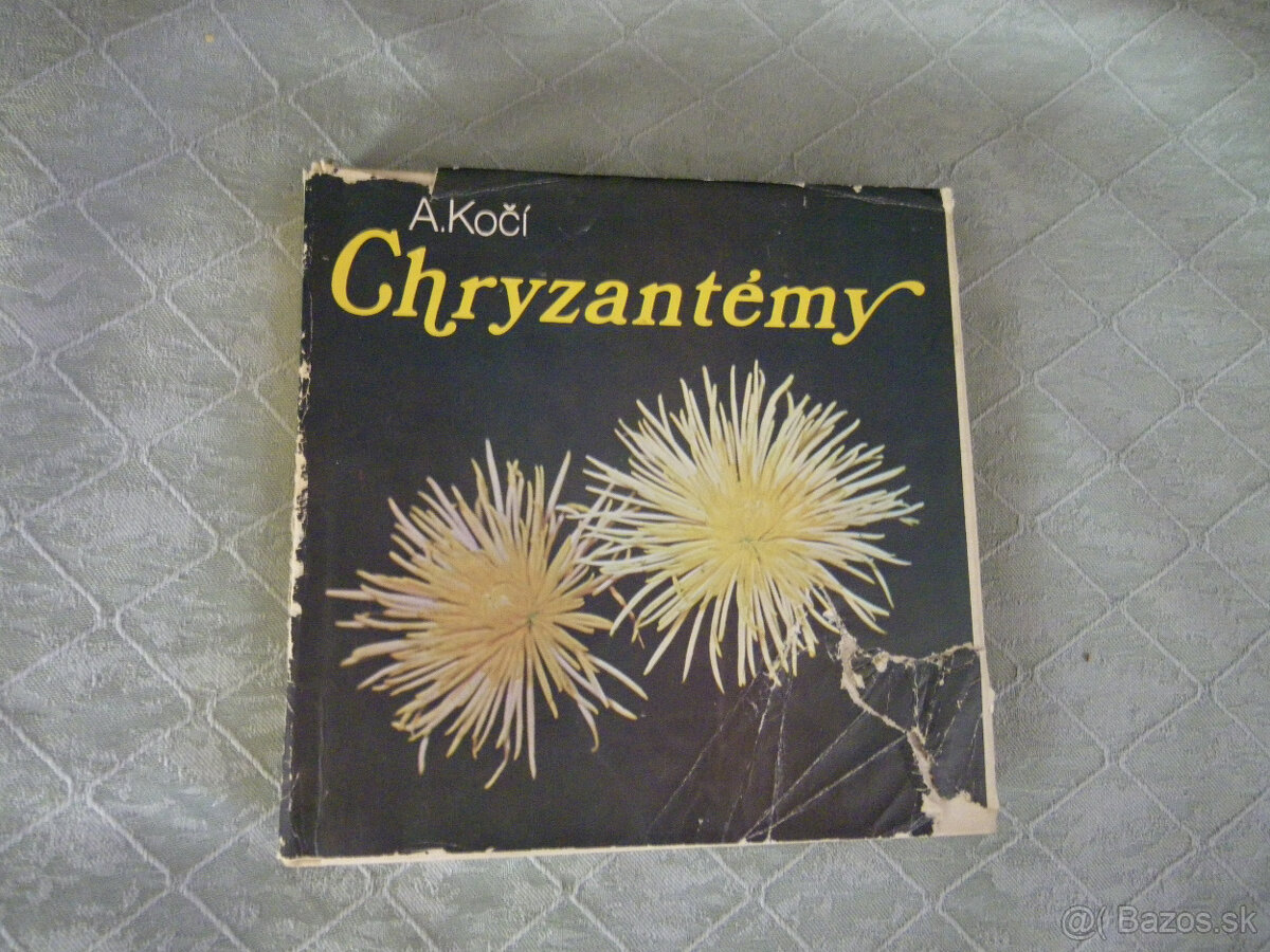 Chryzantémy