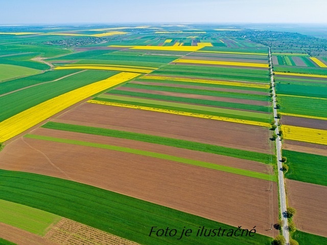 Pozemok na výstavbu rodinného domu okres Levice