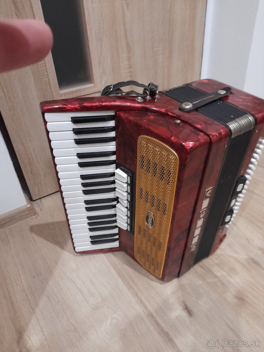 Akordeon, harmonika  Delicia 80 bas.