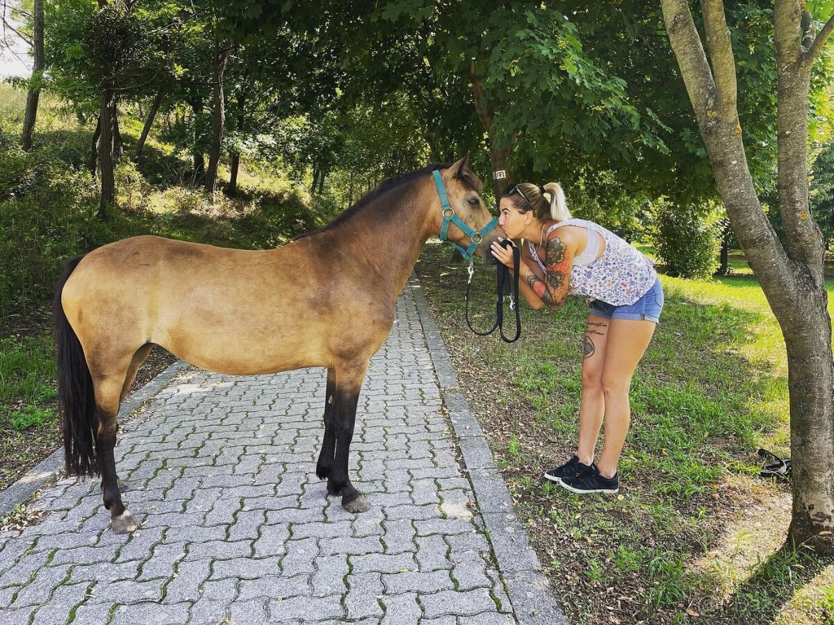 Poník pre detičky +sedlo