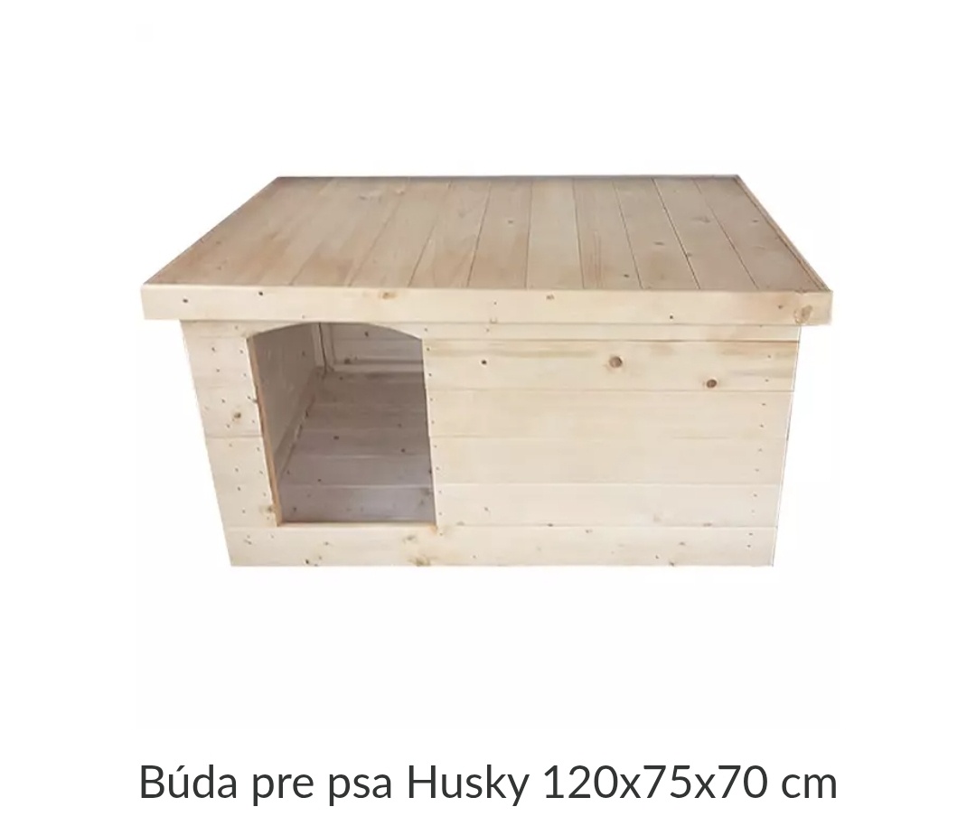 Buda pre psa