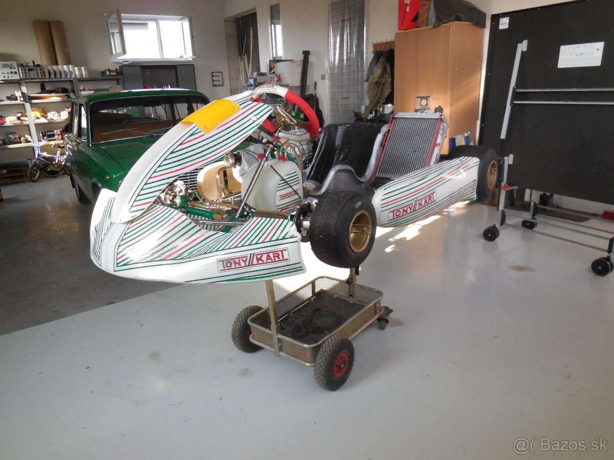 Motokára Tony Kart KZ TM R1