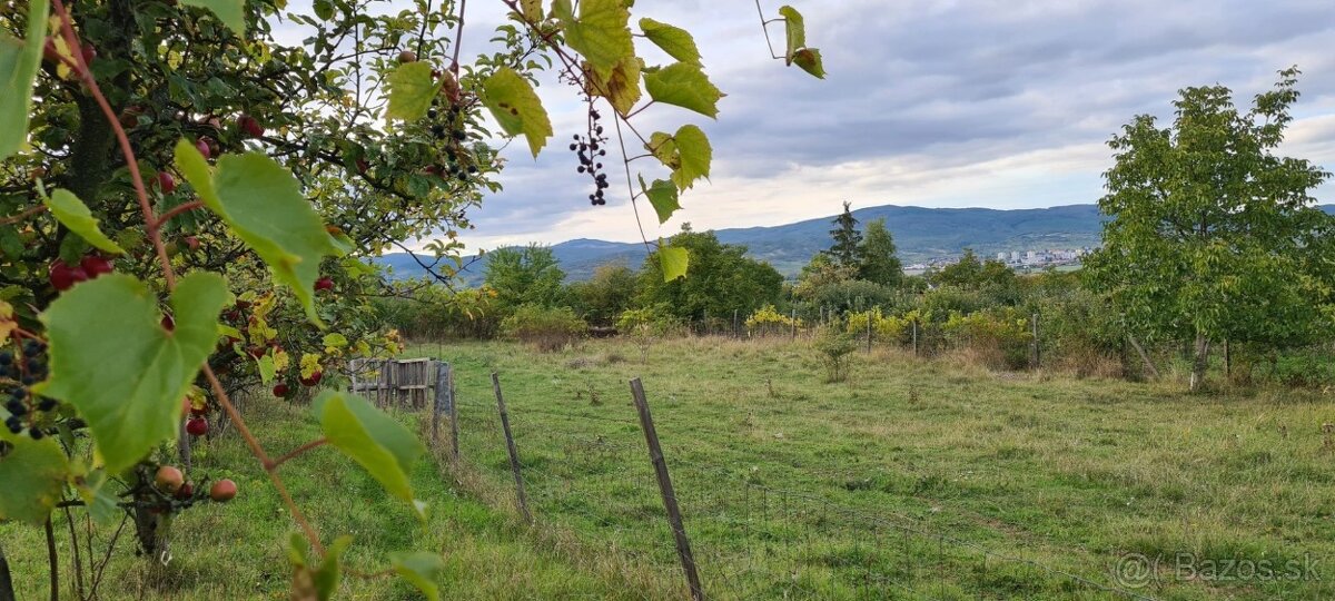 Pozemok na predaj v centre obci Šenkvice na predaj 2603 m2