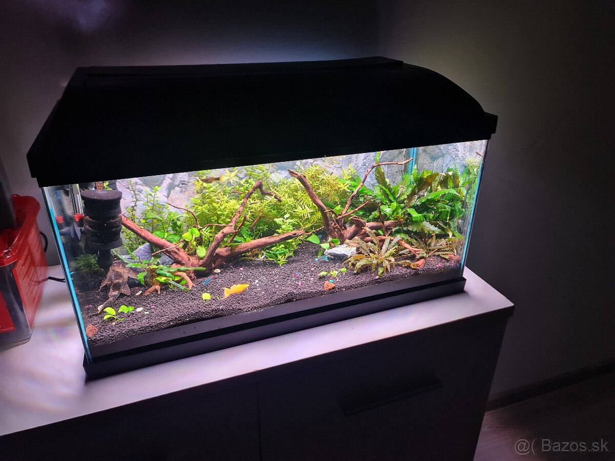 60litrove akvarium