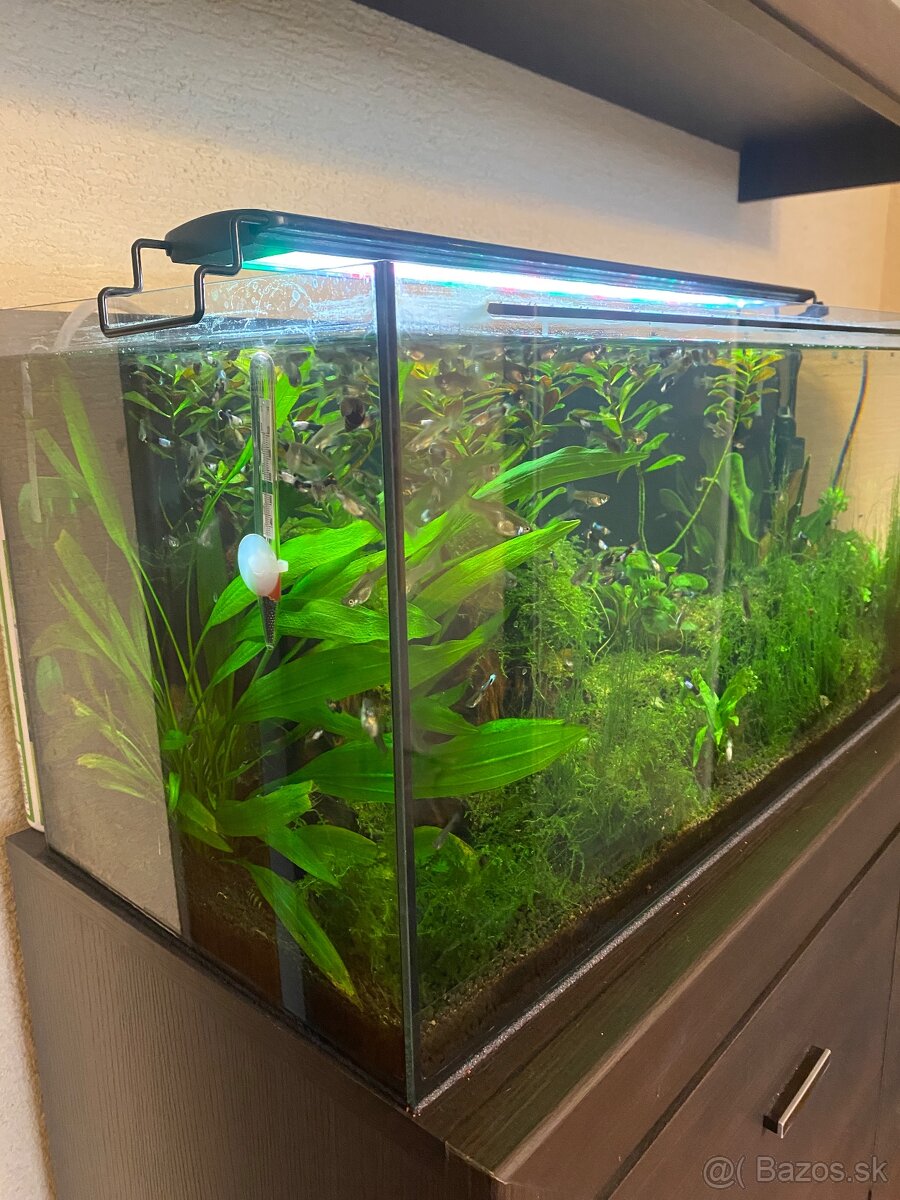 Akvarijum 60x30x30