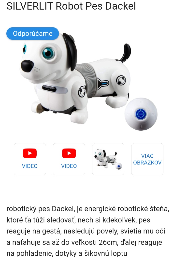 Robotický pes