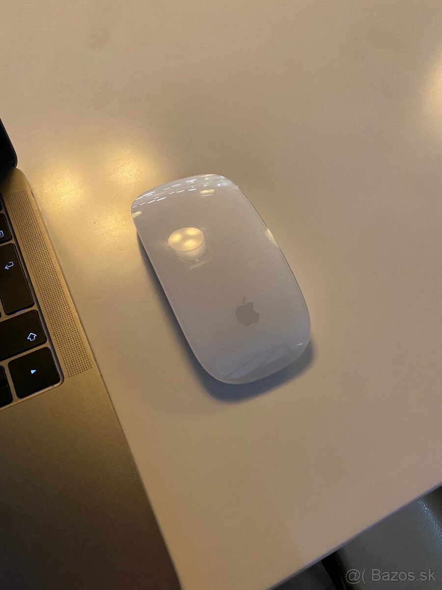 Apple Mouse