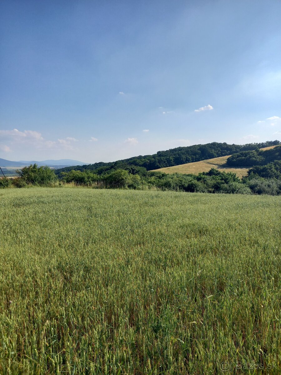 Predaj pozemok - orná pôda v obci Nižná Hutka