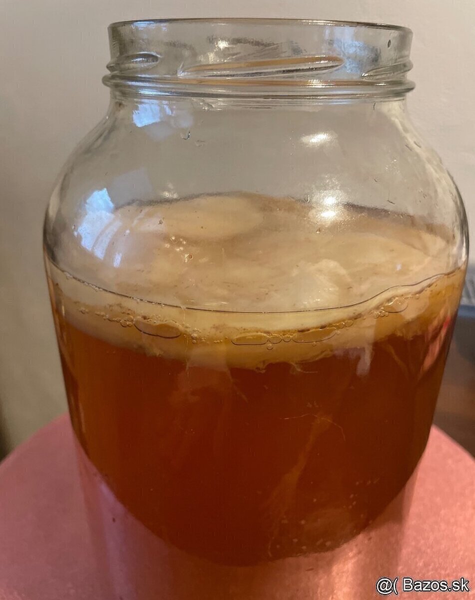 Kombucha scoby