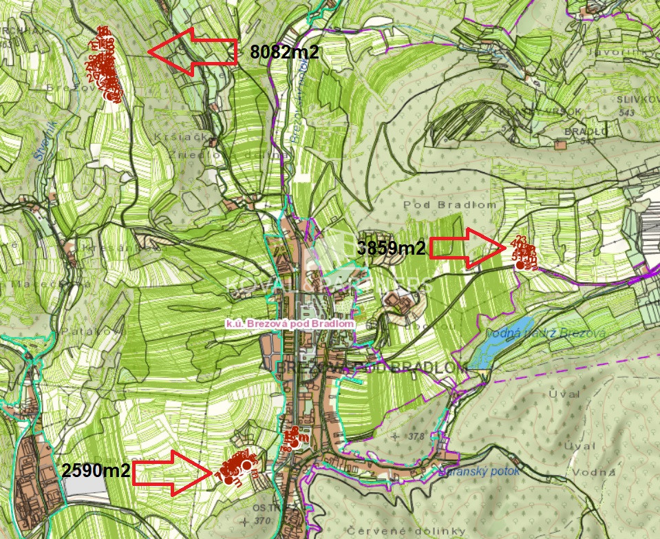 Pozemky - OP - 38,5a, 81a, 26a - Brezová pod Bradlom