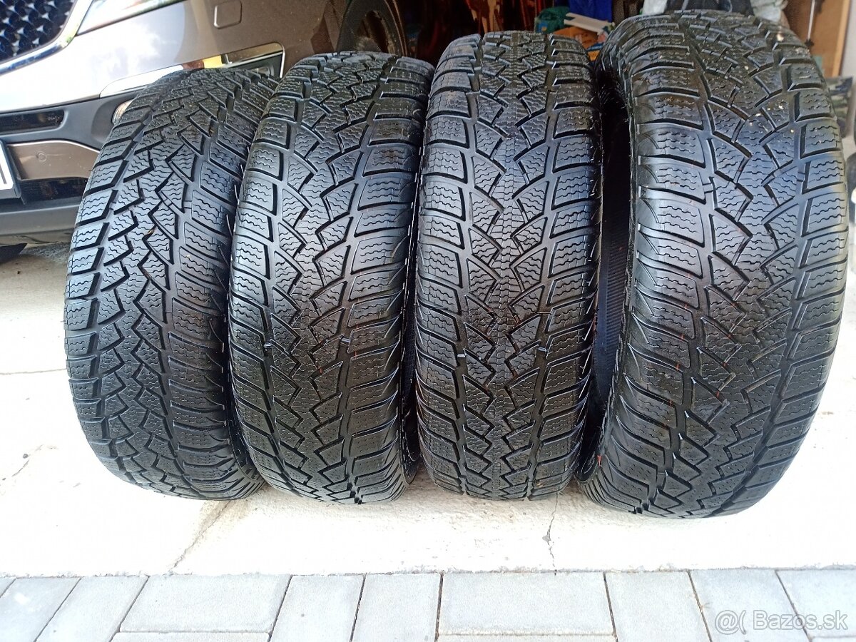 Zimné pneumatiky 195/65 R15