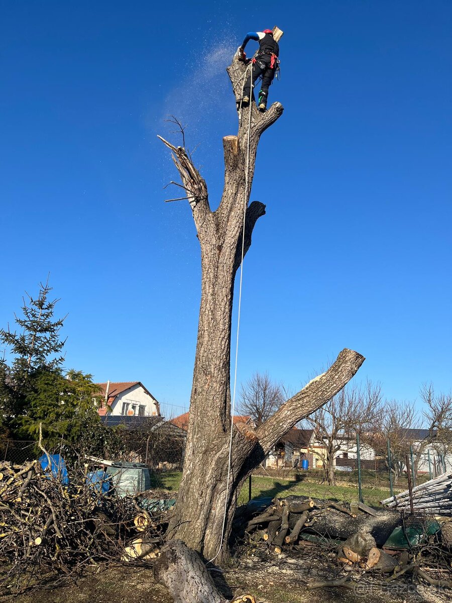 Arboristické práce, ošetrenie stromov, výrub stromov