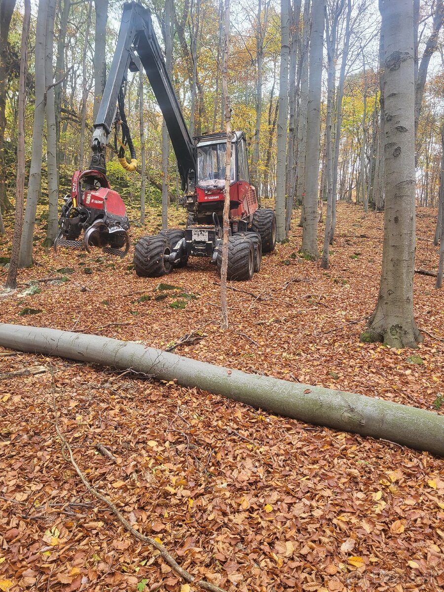 Ponúkame služby v lesníctve